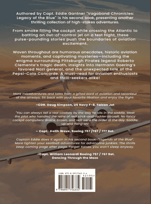 Flying Vagabond: Chronicles of the Blue book back